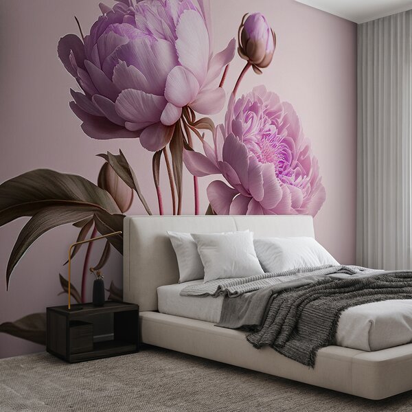 Fototapet Bujori roz elegant în floare moale, Fototapet flori, Fototapet populare, u70658v2 - Tapeko.ro