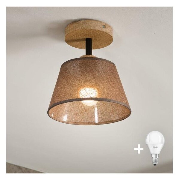 Lustră aplicată Brilagi ANTHONY 1xE14/60W/230V stejar/maro