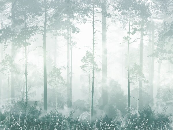 Fototapet O pădure cețoasă cu copaci înalți, Fototapet pădure cețoasă, Fototapet populare, u94439v3 - Tapeko.ro
