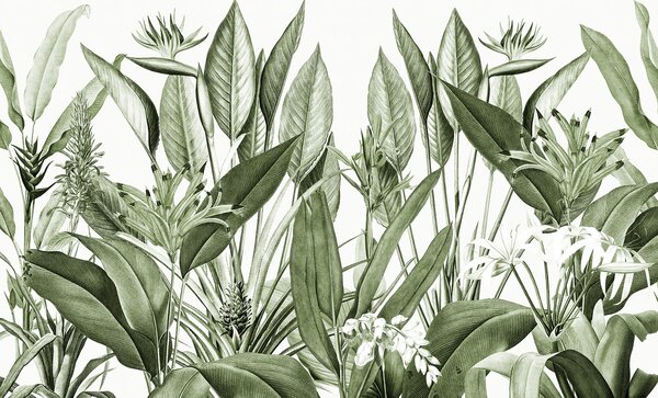 Fototapet Vegetație luxuriantă în detalii delicate, Fototapet jungle, Fototapet populare, u96833v2 - Tapeko.ro