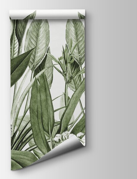 Fototapet Vegetație luxuriantă în detalii delicate, Fototapet jungle, Fototapet populare, u96833v2 - Tapeko.ro