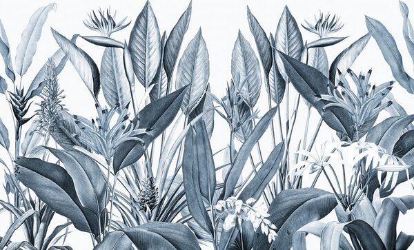 Fototapet Frunziș tropical în nuanțe monocrome, Fototapet jungle, Fototapet populare, u96833v4 - Tapeko.ro
