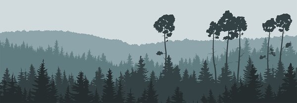Fototapet Un copac într-o pădure, Fototapet pădure cețoasă, Fototapet populare, w00377 - Tapeko.ro