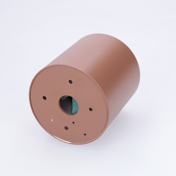Brilagi - Corp de iluminat spot pentru baie MIA 1xGU10/30W/230V 84x80 mm maro IP54