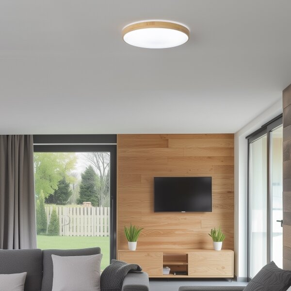 Brilagi - Plafonier LED reglabil PINE LED/24W/230V + telecomandă