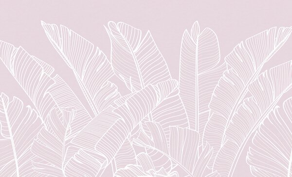 Tapet Tropical banane frunze roz culoare minimalism tendință nouă, Fototapet Natură, Fototapet Foi de palmier, w08210v3 : Uwalls.ro