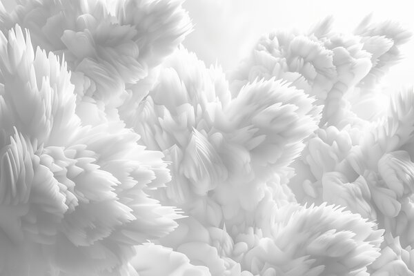 Fototapet Close up de obiecte albe pufos, Fototapet flori 3D, Fototapet populare, w01474 - Tapeko.ro