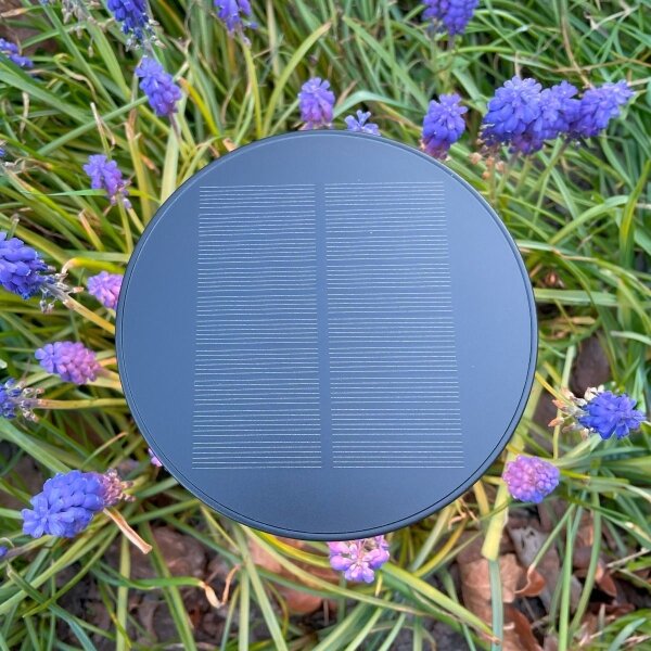 Lampă LED solară Zuma Line DT33611 CARLI LED/2W/2000 mAh IP44 negru