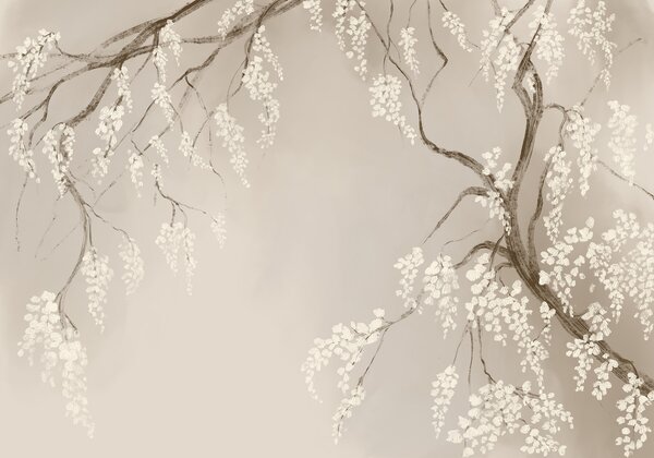Fototapet Ramură de copac cu flori albe, Fototapet copaci, Fototapet populare, w08243 - Tapeko.ro