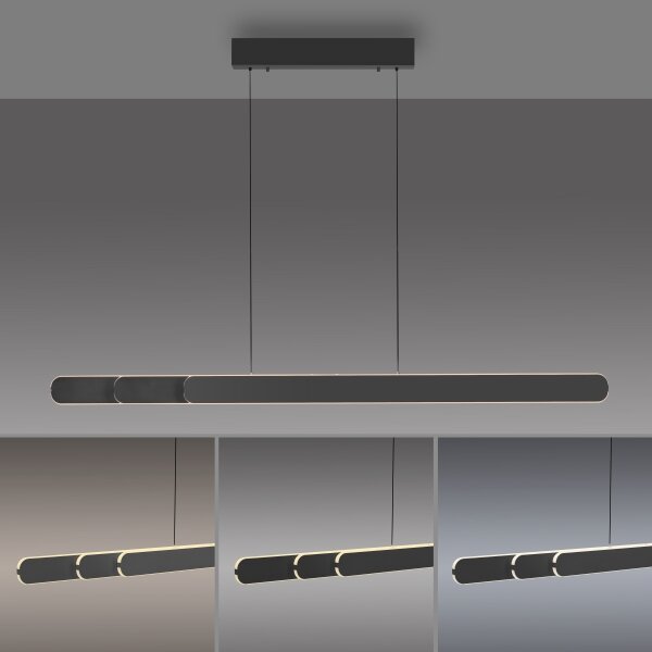 Schöner Wohnen 12577-18 - Lustră LED dimabilă pe cablu ADRIANA, 2xLED/24W/230V, negru