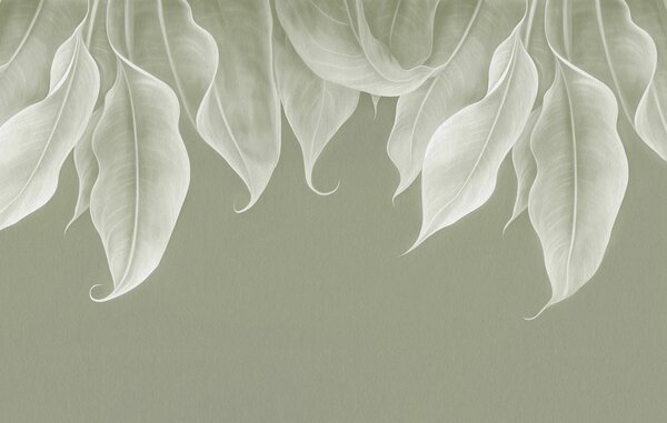 Fototapet Frunze delicate, în nuanțe discrete de verde, Fototapet frunze, Fototapet populare, w01680v3 - Tapeko.ro