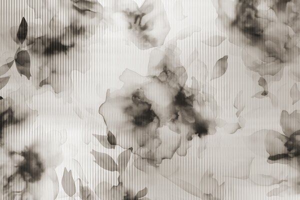 Fototapet Dans floral abstract în monocrom, Populare fototapet, Populare fototapet, w01681 - Muralas.ro