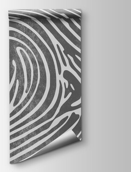 Fototapet Model cu spirale în nuanțe de gri și alb, Fototapet abstracte, Fototapet populare, t00961v1 - Tapeko.ro