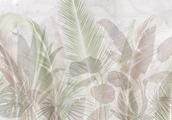 Fototapet Nuanțe delicate ale vegetației tropicale, Fototapet frunze palmier, Fototapet populare, w08326 - Tapeko.ro