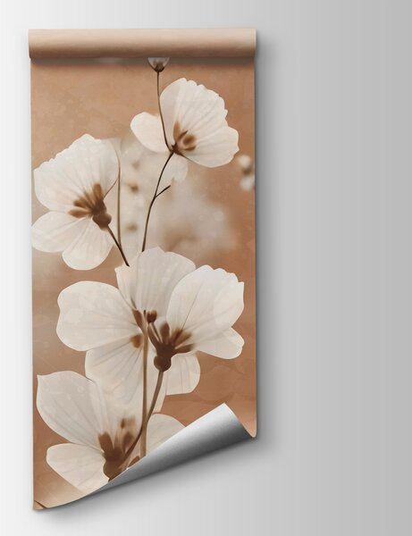 Fototapet Petalele delicate strălucesc în lumina blândă a soarelui, Fototapet flori, Fototapet populare, w09135 - Tapeko.ro