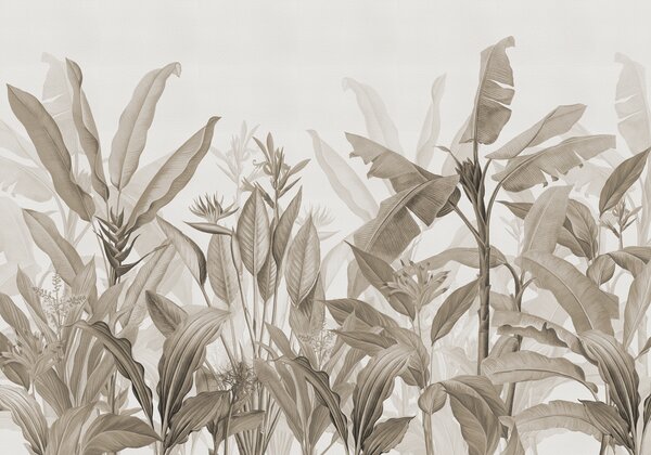 Fototapet Frunziș tropical în nuanțe monocrome delicate, Fototapet natură, Fototapet populare, w01834v4 - Tapeko.ro