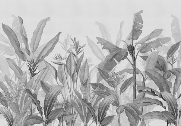 Fototapet Frunziș tropical într-o eleganță monocromă, Fototapet cu frunze 3D, Fototapet populare, w01834v3 - Tapeko.ro