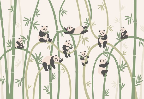 Fototapet Grup de panda pe bambus, Fototapet animale, Fototapet populare, t00963v2 - Tapeko.ro