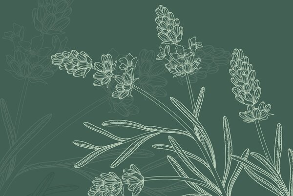 Fototapet Desenul unei plante, Fototapet flori, Fototapet populare, w02243 - Tapeko.ro
