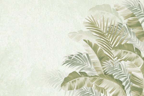 Fototapet Calm frunze tropicale design de fundal, Fototapet frunze palmier, Fototapet populare, w02391 - Tapeko.ro