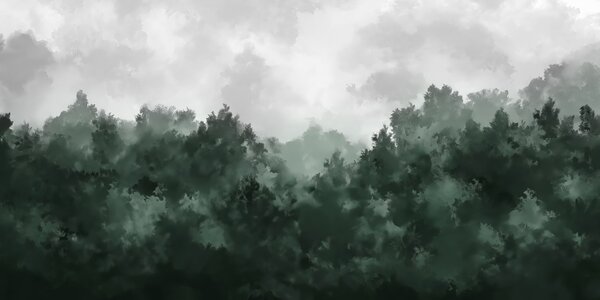Fototapet Pădure cețoasă cu copaci, Fototapet pădure cețoasă, Fototapet populare, w02410 - Tapeko.ro