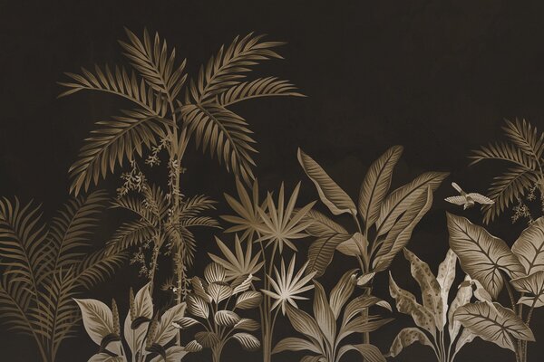 Fototapet Frunziș tropical pe fundal întunecat, Fototapet pădure, Fototapet populare, w08496v3 - Tapeko.ro