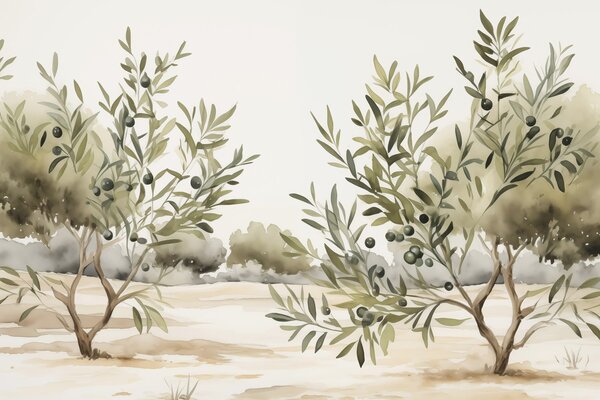 Tapet Olive copaci abstracte imitație acuarelă, Fototapet Natură, w02583 : Uwalls.ro