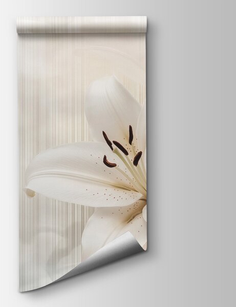 Fototapet Crini albi eleganți în nuanțe moi, Fototapet flori, Fototapet populare, w08676 - Tapeko.ro