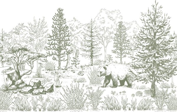 Fototapet Desenul unui urs într-o pădure, Fototapet animale, Fototapet populare, w02929v2 - Tapeko.ro