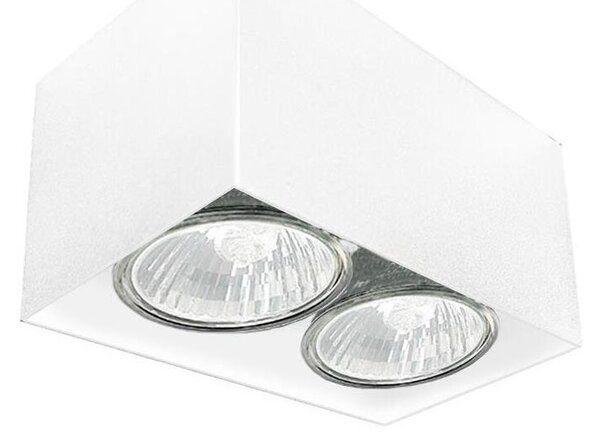 Brosline 1077 - Spot CAGE 2xGU10/10W/230V alb