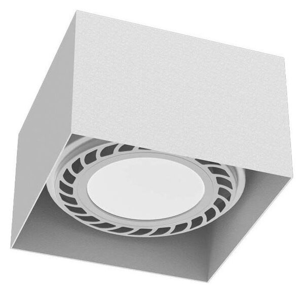 Brosline 1268 - Spot CAGE 1xGU10/18W/230V alb