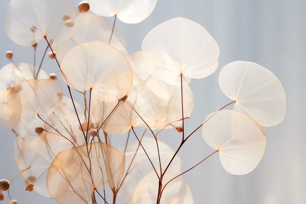 Fototapet Frunzele delicate se leagănă ușor în lumină, Fototapet natură, Fototapet populare, w03068 - Tapeko.ro