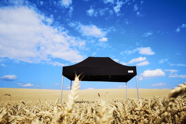 Cort evenimente pliabil 4x6m - cu 3 pereți - Albastru