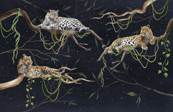 Fototapet Grup de leoparzi culcați pe ramuri, Fototapet animale, Fototapet populare, w03148 - Tapeko.ro