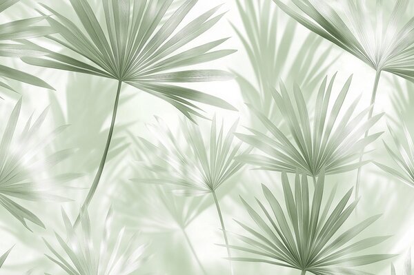 Tapet Frunze de palmier, model floral, minimalism, tropical, culori verzi, Fototapet pădure, Fototapet Tropics, w03152v2 : Uwalls.ro