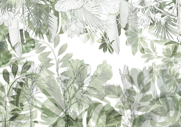 Fototapet Frumusețe botanică în verde moale, Fototapet natură, Fototapet populare, w08823 - Tapeko.ro