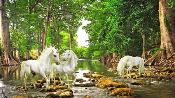 Fototapet Grup de unicorni albi într-un râu, Fototapet unicorni, Fototapet populare, u05099 - Tapeko.ro