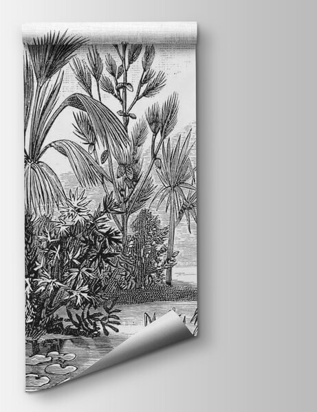 Fototapet Desen alb-negru al unei păduri tropicale, Fototapet populare, Fototapet populare, u52597 - Tapeko.ro