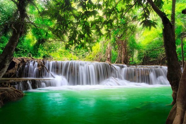Fototapet Cascadă într-o pădure, Fototapet cascade, Fototapet populare, u53889 - Tapeko.ro