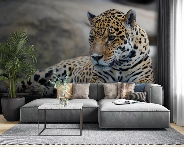 Fototapet Leopard întins pe o suprafață de lemn, Fototapet pisici, Fototapet populare, u55313 - Tapeko.ro