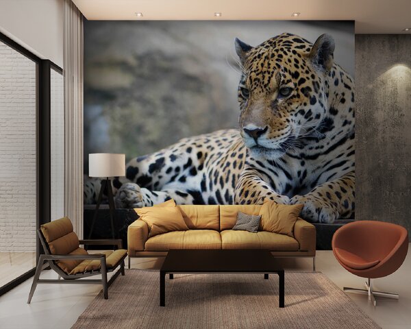 Fototapet Leopard întins pe o suprafață de lemn, Fototapet pisici, Fototapet populare, u55313 - Tapeko.ro