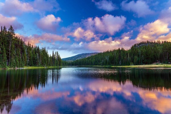 Fototapet Lac înconjurat de copaci și munți, Fototapet natură, Fototapet populare, u58610 - Tapeko.ro