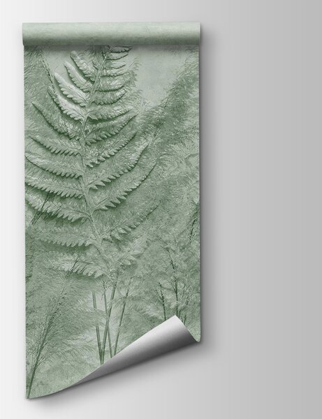 Fototapet Ferigi elegante în nuanțe delicate de verde, Fototapet natură, Fototapet populare, w03316v2 - Tapeko.ro