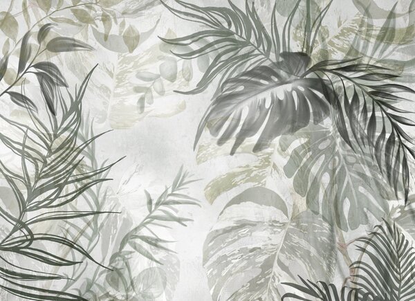 Tapet Monstera și frunze de palmier în nuanțe de verde și gri, botanică, frunze tropicale, plante junglă,, Fototapet Natură, w09011 : Uwalls.ro