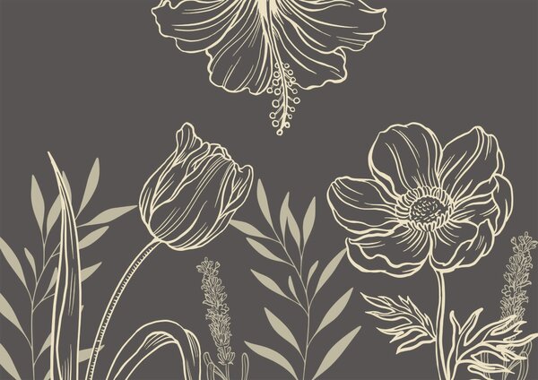 Fototapet Delicate florale linie art design, Fototapet flori, Fototapet populare, t00006 - Tapeko.ro