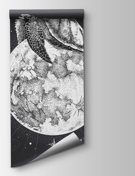 Fototapet Țestoasă pe lună, Fototapet spațiu cosmic, Fototapet populare, t00180 - Tapeko.ro