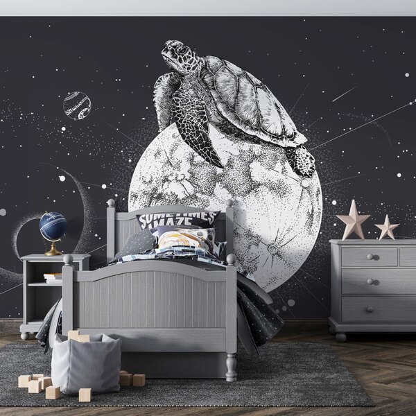 Fototapet Țestoasă pe lună, Fototapet spațiu cosmic, Fototapet populare, t00180 - Tapeko.ro