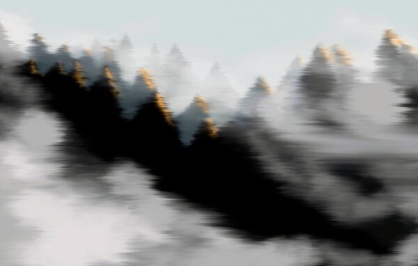 Fototapet Pădure cețoasă cu copaci, Fototapet pădure cețoasă, Fototapet populare, t00249 - Tapeko.ro