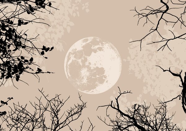 Fototapet Luna pe cer, Fototapet natură, Fototapet populare, t00316 - Tapeko.ro