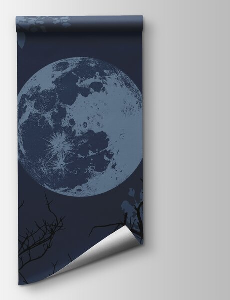 Fototapet Luna pe cer, Fototapet natură, Fototapet populare, t00316v1 - Tapeko.ro